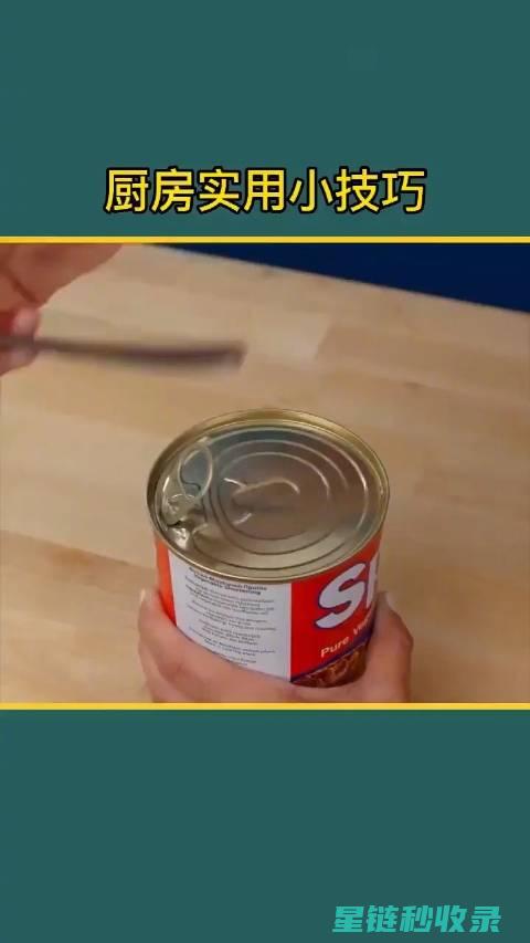 厨房必备！快速解冻肉类的秘诀 (快速厨房)