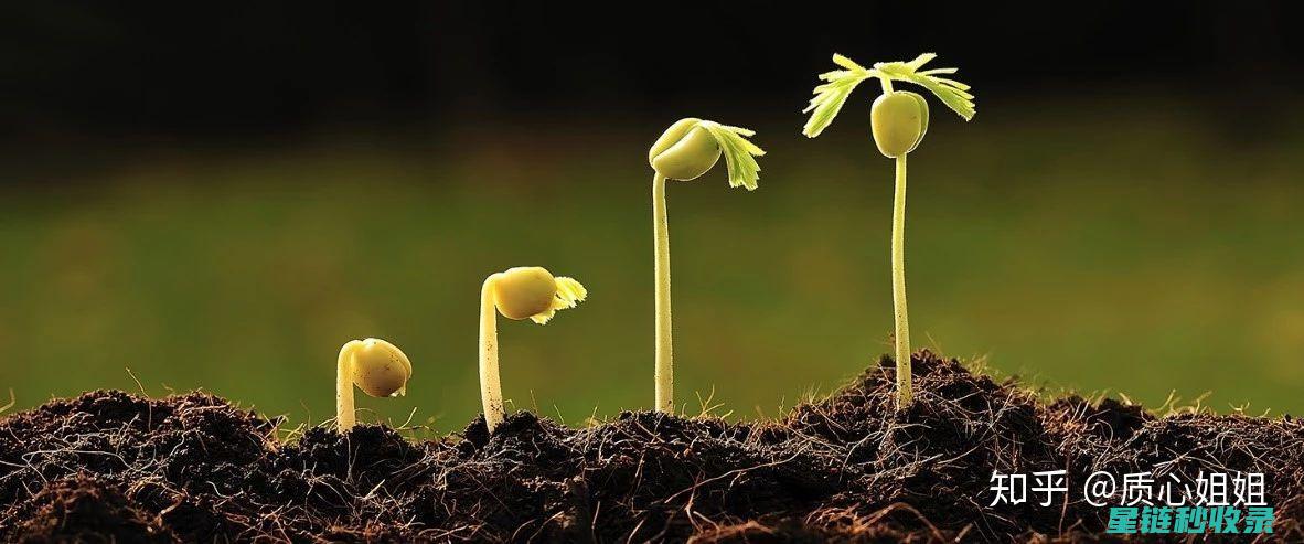 深入了解植物标签在园艺中的应用 (深入了解植物的种类)