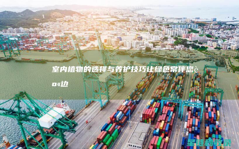 室内植物的选择与养护技巧：让绿色常伴您身边 (室内植物的选择条件有哪些?)