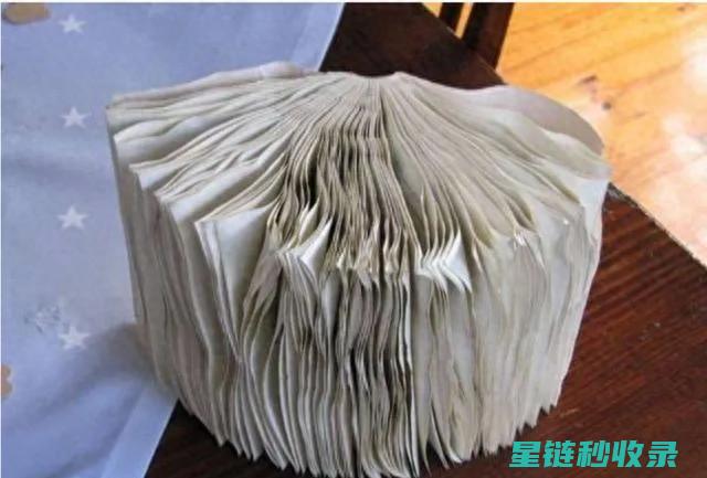 书本除潮妙招全披露：让纸张重获新生 (书本潮湿如何快速吹干)