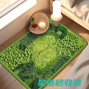 地毯螨虫大作战：实用的除螨妙招大盘点 (地毯螨虫大作用是什么)