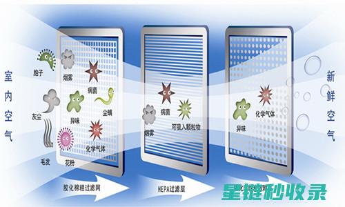 室内空气净化神器：让你意想不到的天然空气净化植物 (室内空气净化的最佳方法)