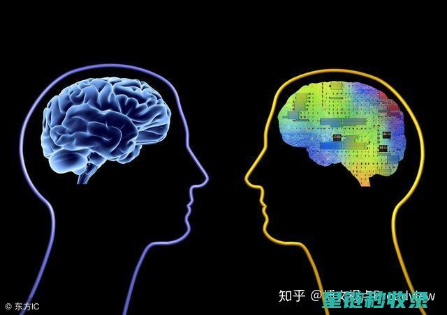 从基础到高级：全面解析手部护理的每一个细节 (从基础到进阶)