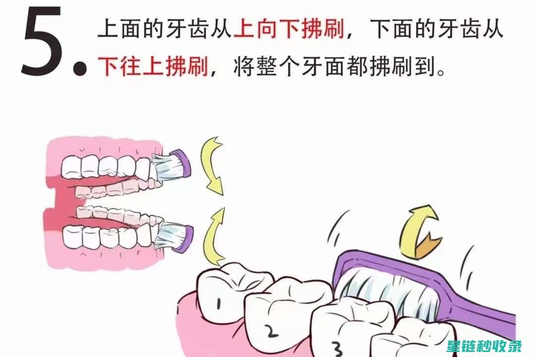 掌握正确刷牙技巧，告别口腔问题 (掌握正确刷牙方法)