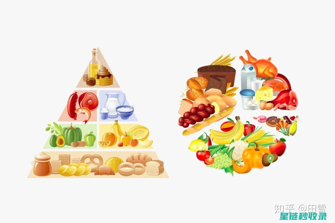 探索健康饮食之道：为身体注入活力与能量的秘密武器 (探索健康饮食的奥秘作文)