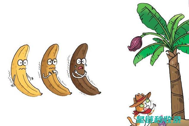 不想香蕉变黑？这些保鲜技巧不容错过 (香蕉不变黄直接变黑)