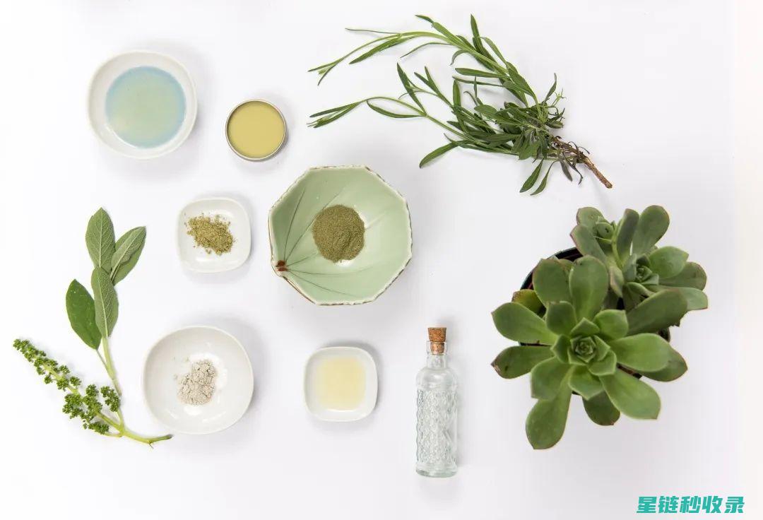 从植物中提取驱虫精华，守护农作物免受虫害侵袭 (从植物中提取香料的方法有)