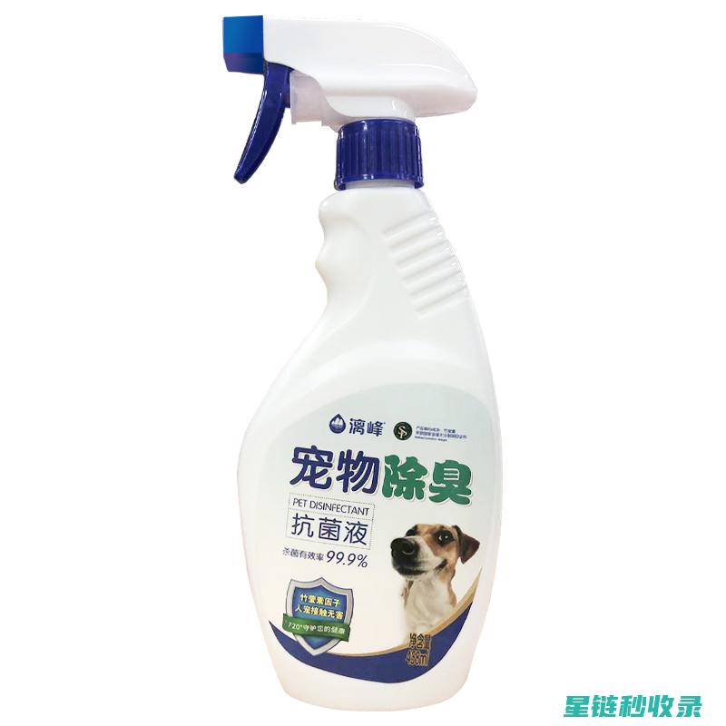 宠物异味去除：你可能忽略的几个关键步骤 (宠物异味去除剂)