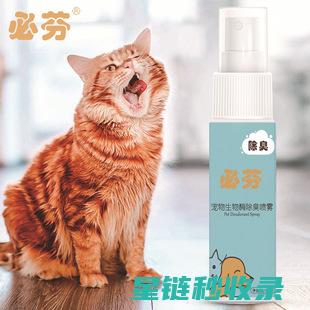 宠物异味去除：你是否真的了解这些去除方法的效果？ (宠物异味去除公司)