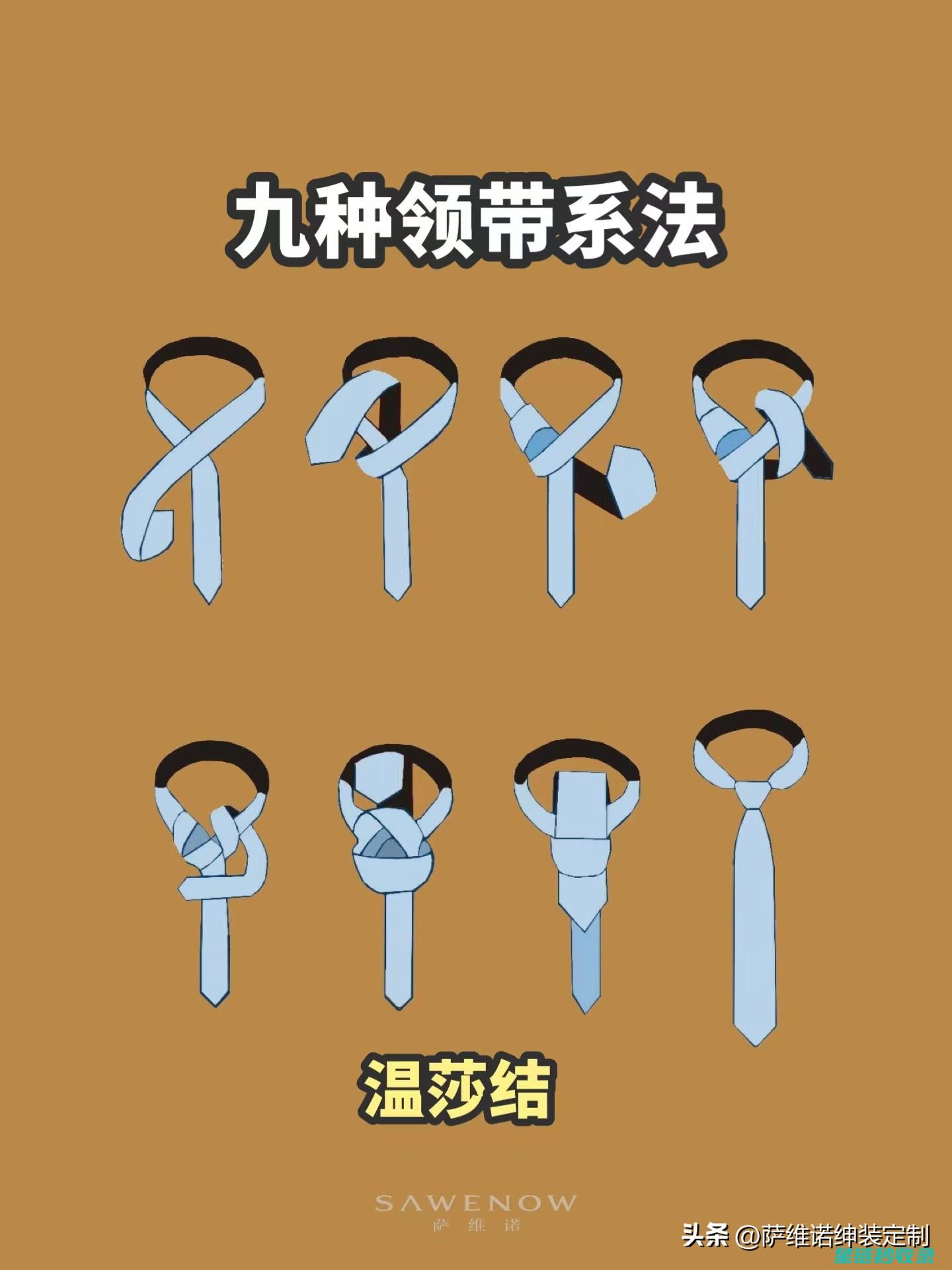 领带收纳盒推荐：满足各种收纳需求 (领带收纳盒推荐品牌)