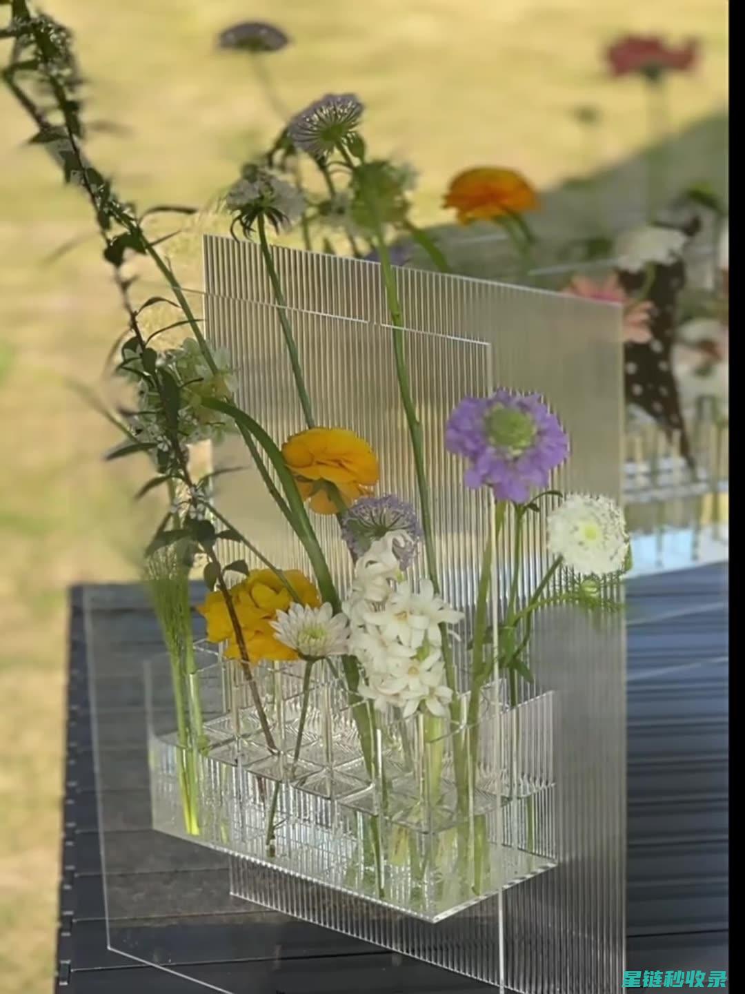 花瓶深度清洁与日常维护，延长其使用寿命 (花瓶深度清洁怎么做)