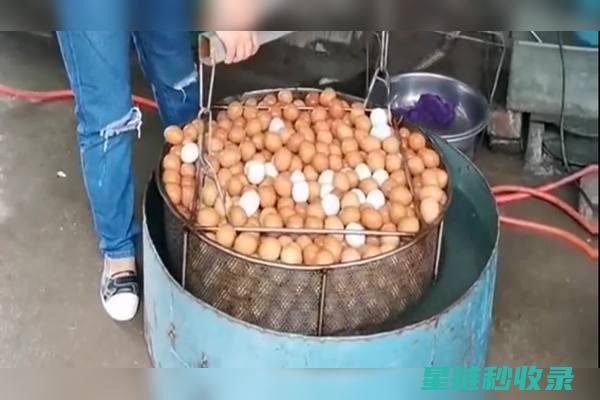 快速剥鸡蛋？这些步骤让你事半功倍 (如何快速剥鸡蛋)