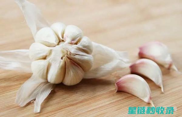 如何让大蒜在家中保存得更长久？ (如何让大蒜在冬天不发芽)