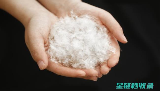羽绒服去味指南：让你的羽绒服散发清新气味！ (羽绒服去味指的是什么)