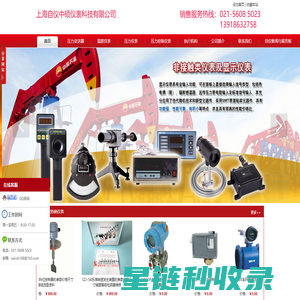 上海自仪-上自仪-上海自动化仪表厂